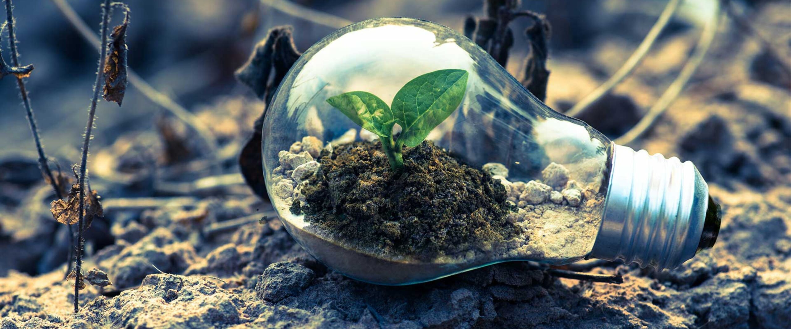 Untitled design (32)