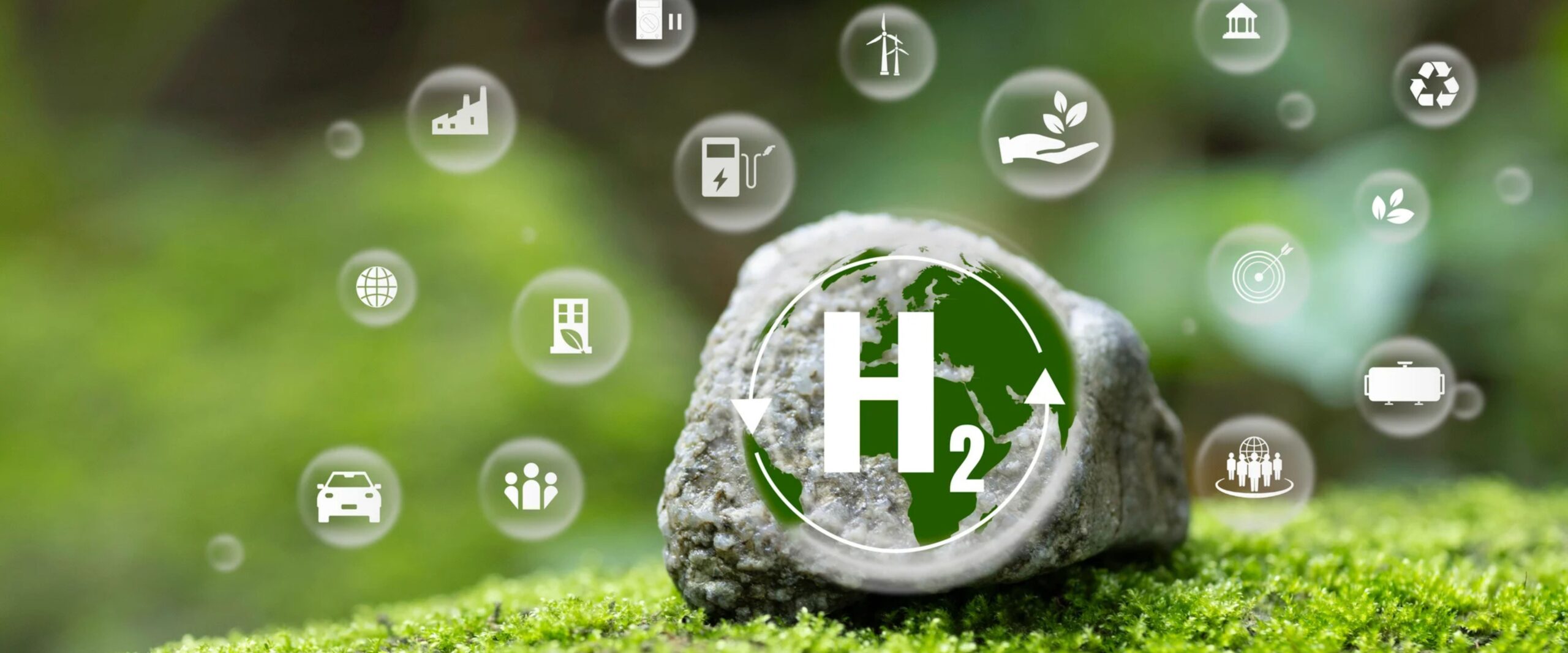 Untitled design (33)